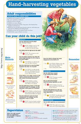 Safety guidelines for youth agricultural work in the United States: A description of the development and updating process